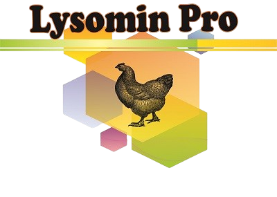 Lysomin Pro
